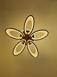 SpaceOra's Modern LED Ceiling Chandelier Lighting for Living Room, Bedroom, Hall & Dining Area